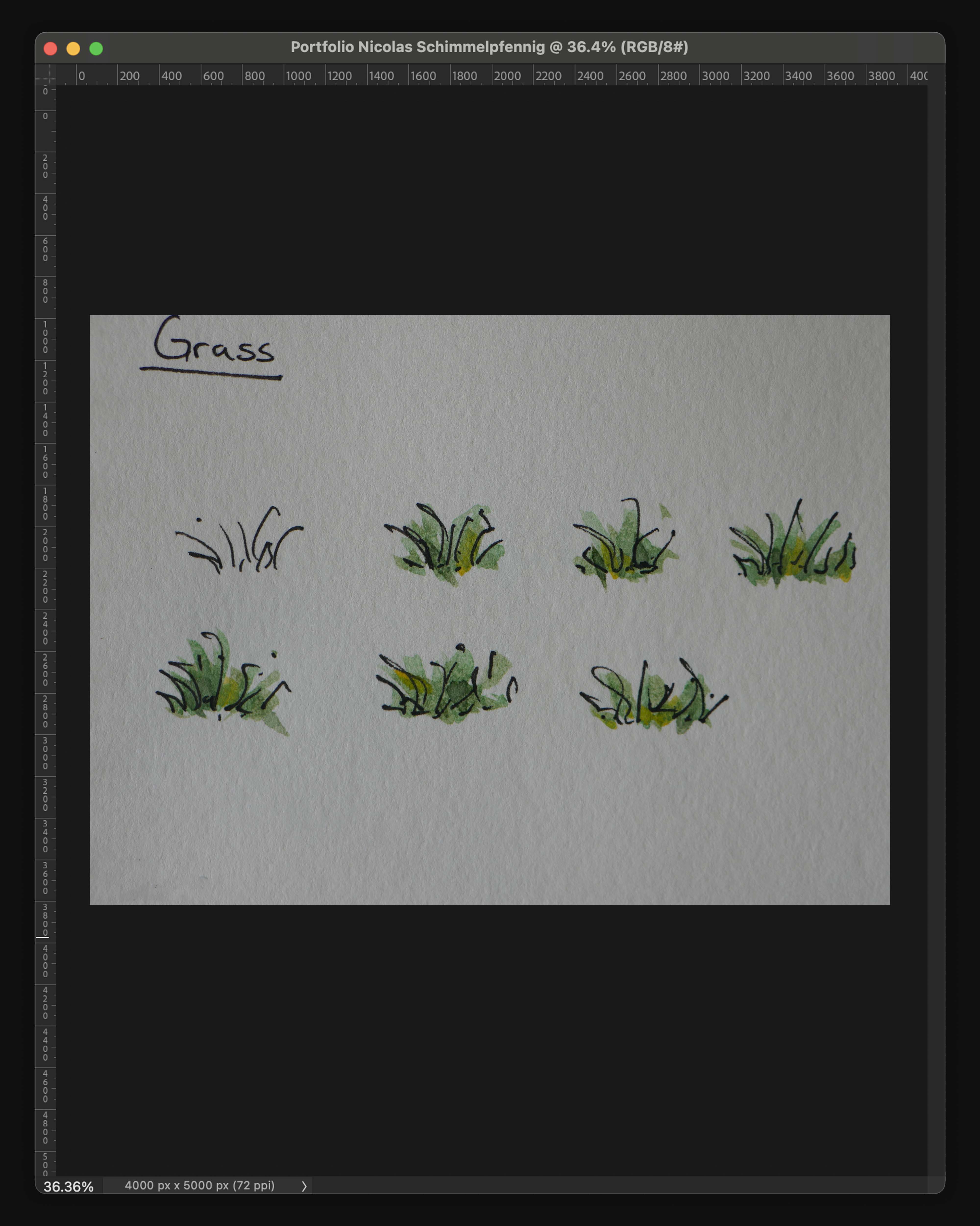 Scan of a page of grass watercolour illustrations. The many variations will break up the repetition in the final design.